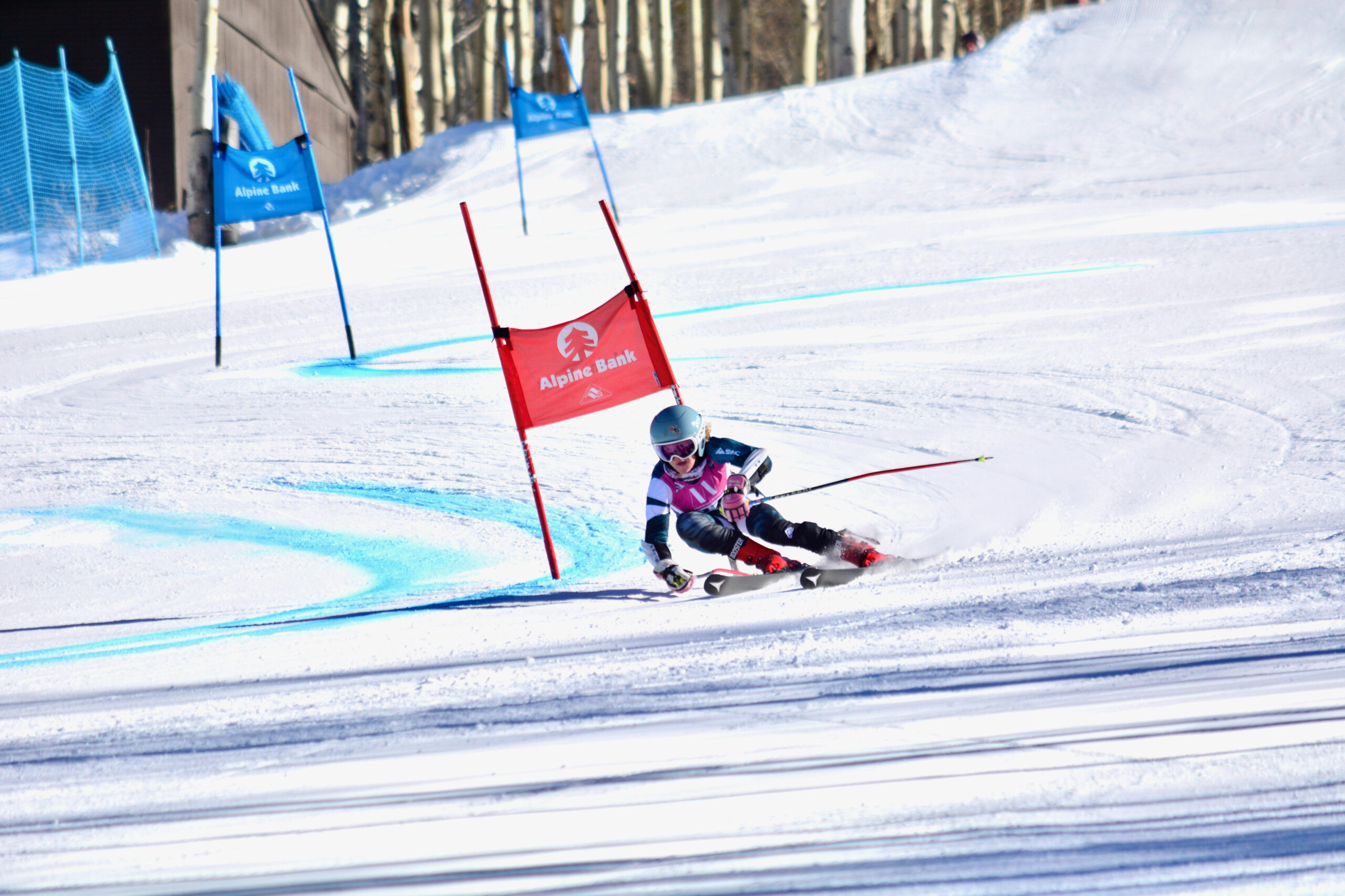 Alpine Gallery Ski and Snowboard Club Vail